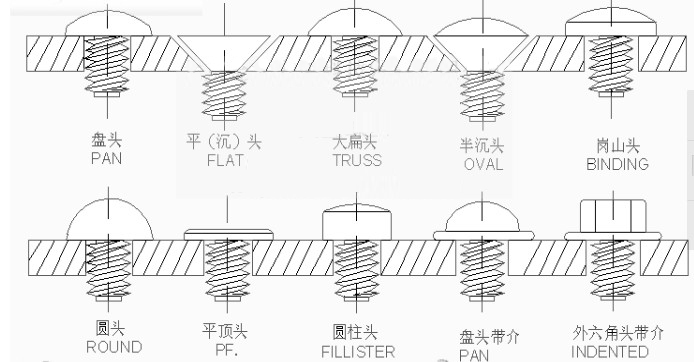 半空心螺丝,螺丝,家具螺丝,对装螺丝,对锁螺丝